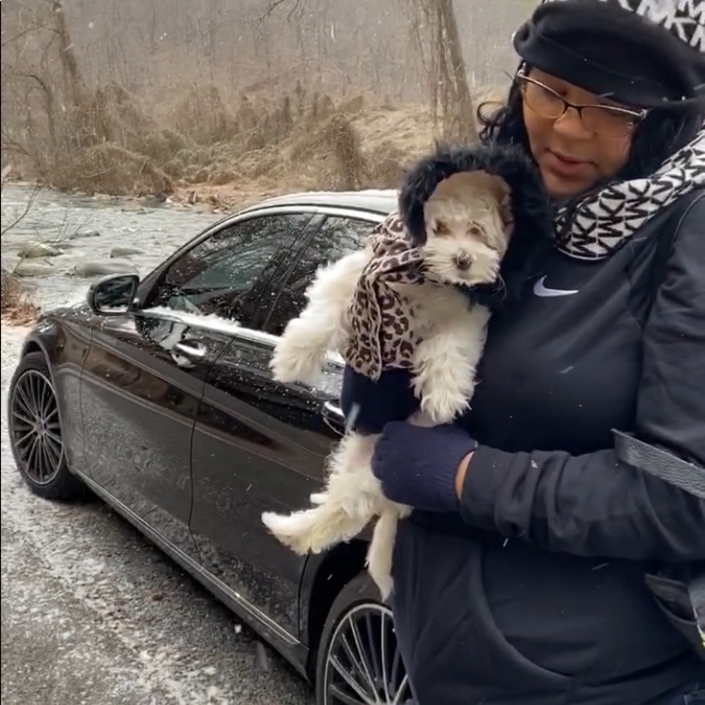 Meet your Posher, Joan